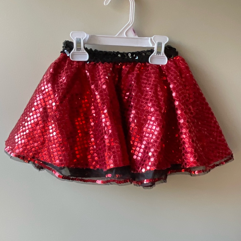 A Wish Come True Sequin Dance Skirt